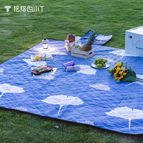 超声波野餐垫