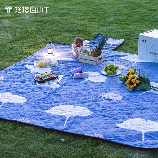 超声波野餐垫 商品图0