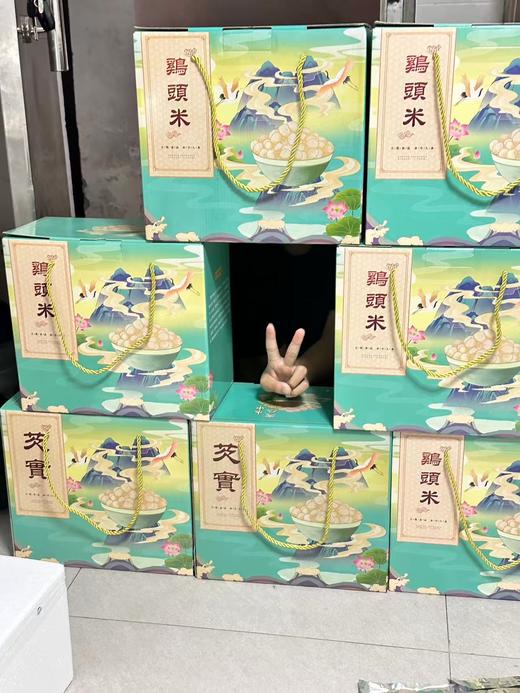 2025新鲜鸡头米 芡实 冰鲜冷链  顺丰江浙沪包邮 偏远地区需要加10元 商品图4