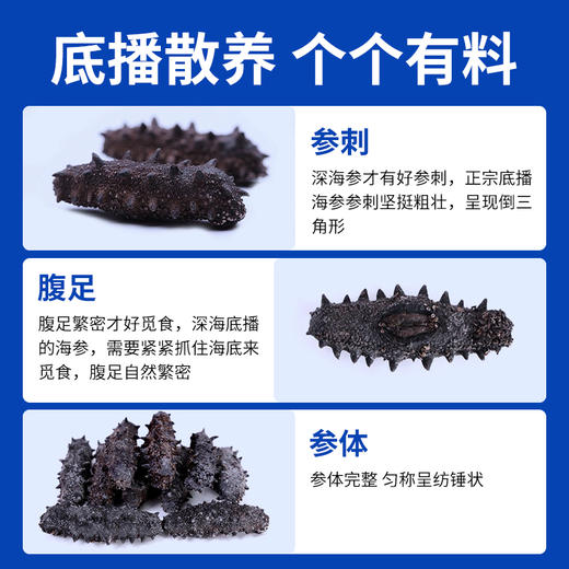 星龙港大连淡干海参禄运恒通礼盒系列*90g 商品图4