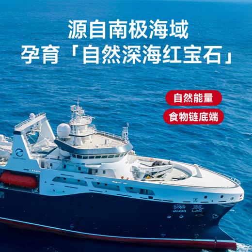 解你南极磷虾油60粒/瓶 商品图3