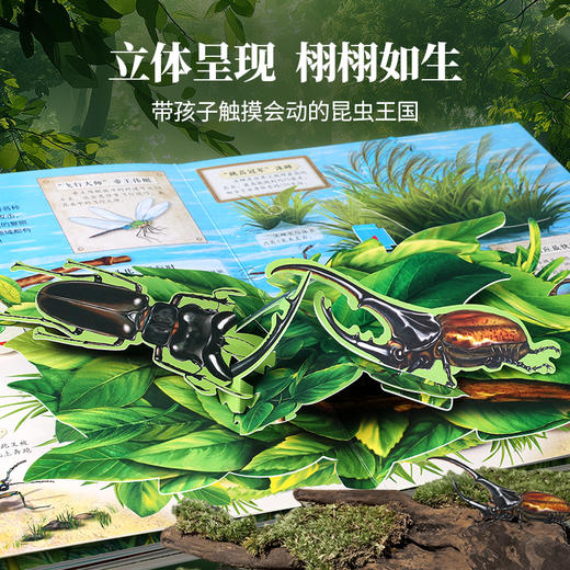 【青葫芦】那么大！立体书：昆虫 3-8岁 儿童3d立体书 商品图2