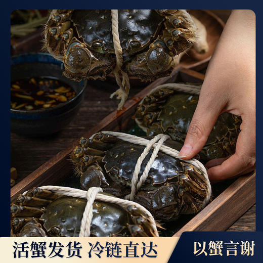 【9888型】1024乐商城蟹满金秋 山海造阳澄湖大闸蟹礼卡(精品) 雄蟹6.0*4雌蟹4.5*4 8只装(48小时发货) 商品图2