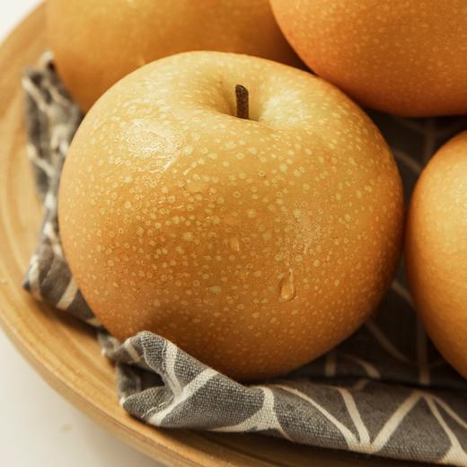 山东秋月梨 2.5kg 礼盒（6-8 个） 商品图2