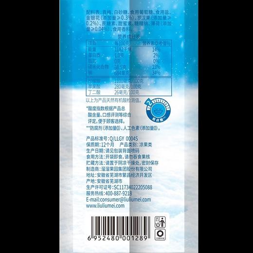 溜溜梅260g超值装雪梅 商品图4