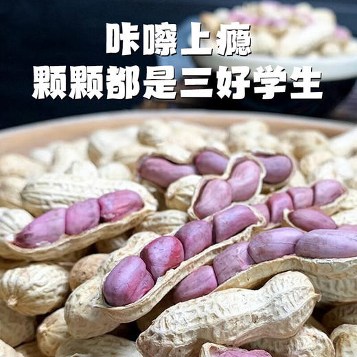 真“香”推荐！天鲜萌2025年头茬福建龙岩湿烤花生 218g/袋 商品图3