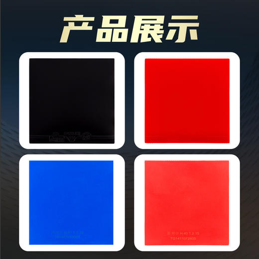 [热卖] 729 奔腾II 国套国特版 实验室版 专业队 省队 国家队使用  非生产线大货 商品图5