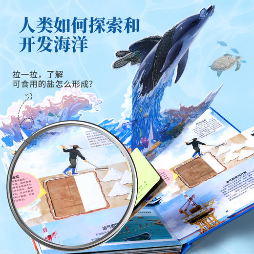 【青葫芦】那么大！立体书：海洋 3-8岁 儿童3d立体书 商品图5