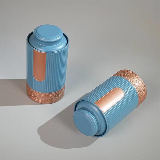 素言茶坊 春漾礼盒雨前龙井双铁罐200克.WN 商品图2