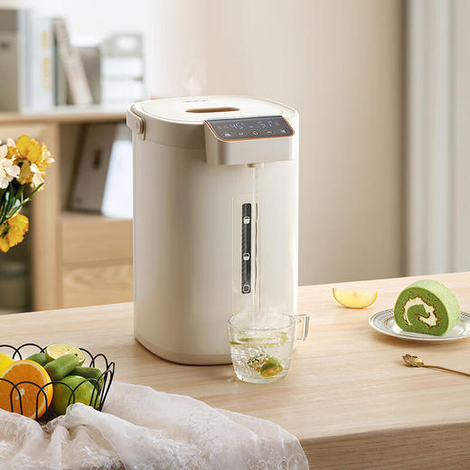 西屋Westinghouse-电热开水瓶WSP162 商品图2