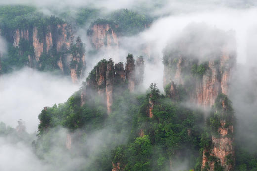 【订制】云雾仙境张家界、重庆三峡红叶、成都&四姑娘山12天休闲摄影团 商品图8