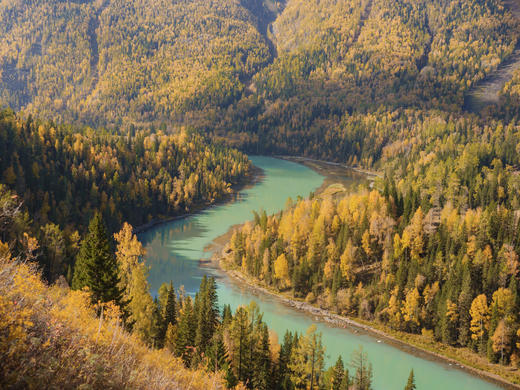 北疆秋色 | 赴一场秋日盛宴 新疆阿勒泰7日/8日 商品图6