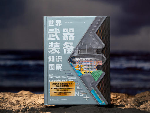 《世界武器装备知识图解》，送给青少年的“纸上军事博物馆”，1000+武器装备、500+珍贵手绘图、600+科普知识点、100+历史故事，陆海空军事专家联合审校，权威又好读的少儿科普读物 商品图11