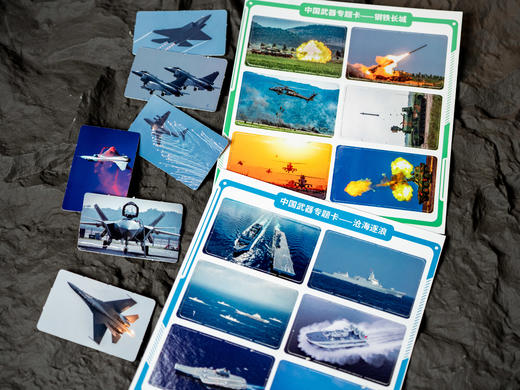 《世界武器装备知识图解》，送给青少年的“纸上军事博物馆”，1000+武器装备、500+珍贵手绘图、600+科普知识点、100+历史故事，陆海空军事专家联合审校，权威又好读的少儿科普读物 商品图10