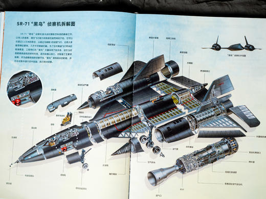 《世界武器装备知识图解》，送给青少年的“纸上军事博物馆”，1000+武器装备、500+珍贵手绘图、600+科普知识点、100+历史故事，陆海空军事专家联合审校，权威又好读的少儿科普读物 商品图5