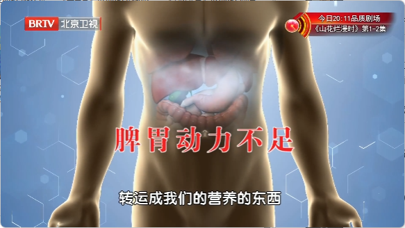 脾胃动力不足.png