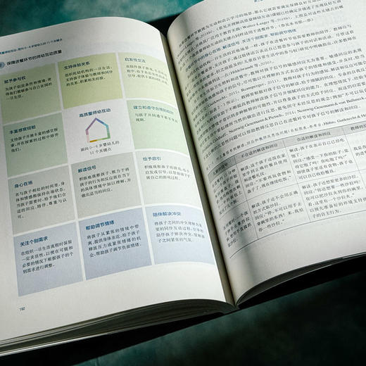 高质量师幼互动 面向0-6岁婴幼儿的11个关键点 视频教研工作法 商品图13