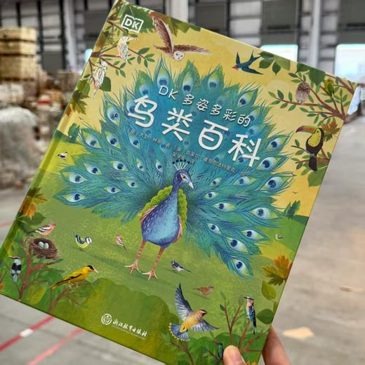 （小学全阶段）DK绝版大清仓！9.9起！售完即止，不再加印！有库存的就赶紧拍！ 商品图11