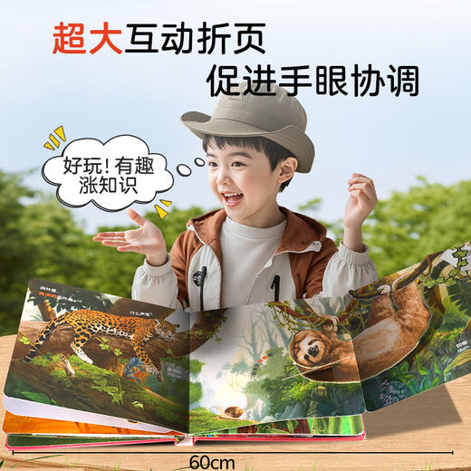 【青葫芦】宝宝启蒙认知立体书：可爱动物+交通工具【共2册】点读版 0-3岁 商品图2