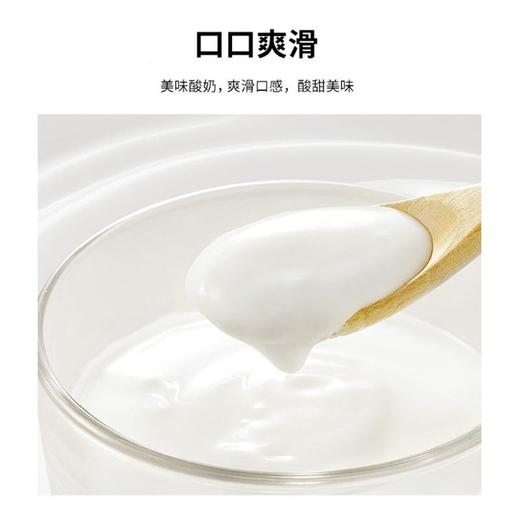 新希望 南山厚凝酪原味风味发酵乳 340g/杯 商品图1