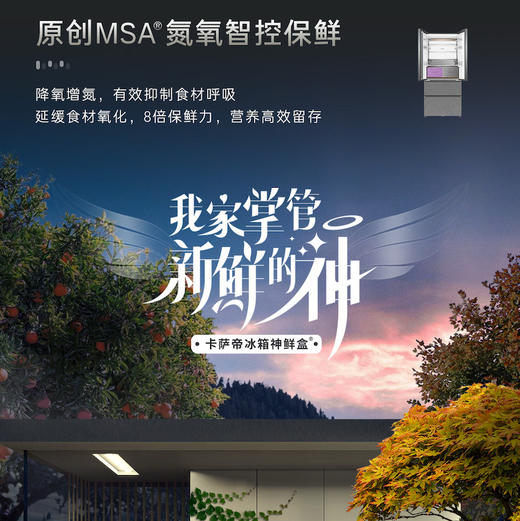 卡萨帝（Casarte）冰箱 BCD-560WGCFDA4GUU1 商品图3