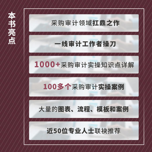 采购审计实务指南 商品图2