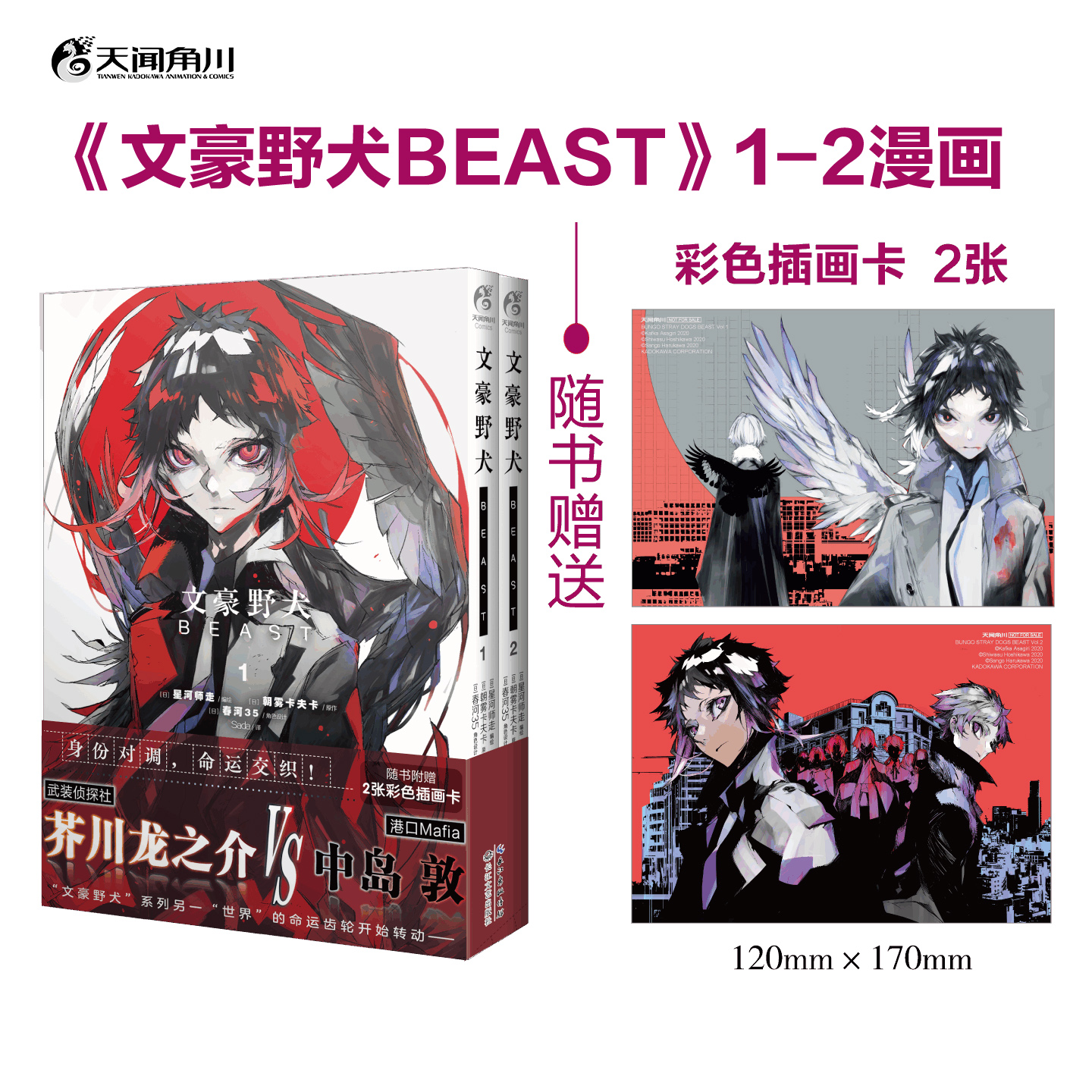 文豪野犬BEAST. 1-2（随书附赠：彩色插画卡2张）身份对调，命运交织！ 武装侦探社芥川龙之介VS港口Mafia中岛敦