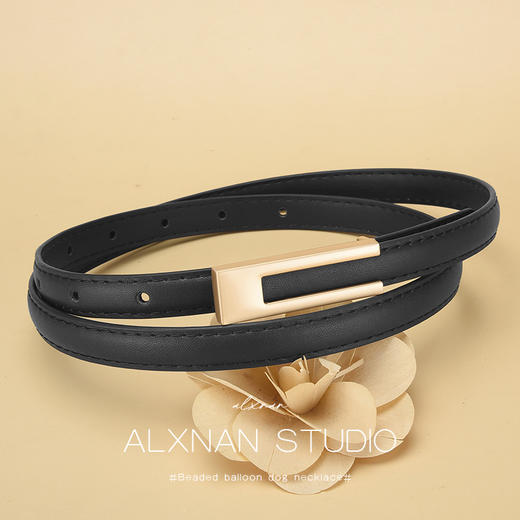 鹿鹿推荐·  【时尚简约】气质百搭高级感细腰带腰链 商品图0