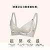 【第二件 0 元｜ 满2件 5 折】【A杯单件】【秀黛】倾城恋人无钢圈中厚杯文胸三排扣S6110006A【门店同款】 商品缩略图1