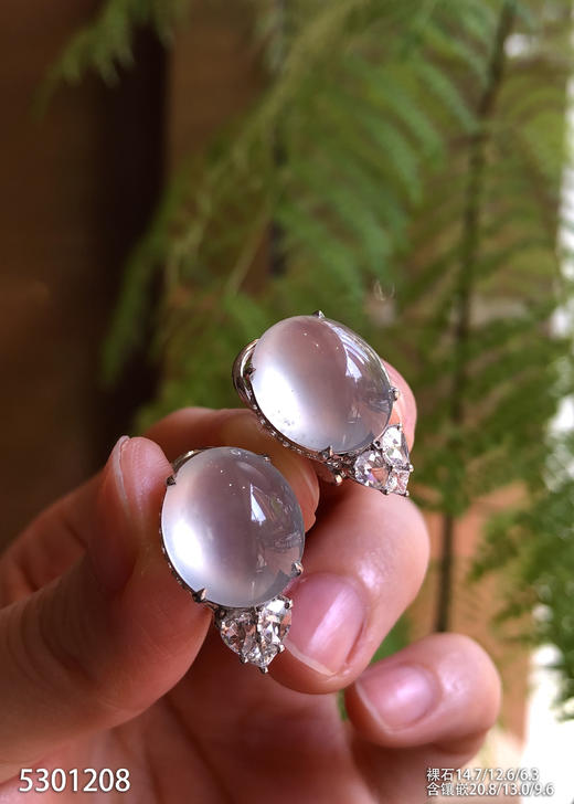 玻璃种蛋面耳钉【5301208】具体价格微信咨询 商品图2