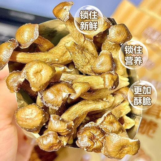 酥脆不油腻！零食新宠【椒盐鹿茸菇脆】非油炸膨化 0防腐剂🍄满满的都是大自然的味道 商品图4