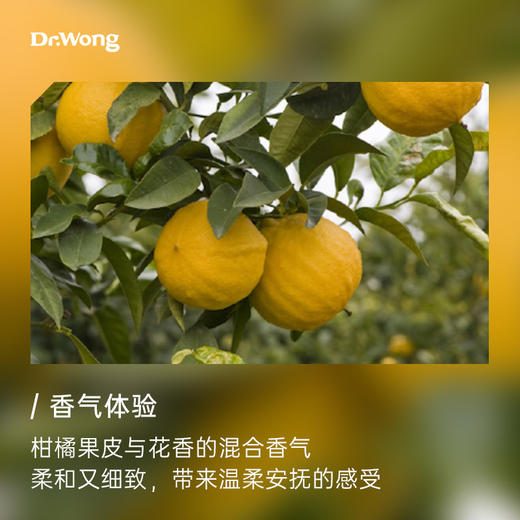 佛手柑 植物香薰精油 商品图1