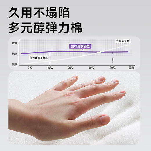 BKT 人体工学护腰坐姿椅 加大版 海雾蓝（带坐套） 商品图3