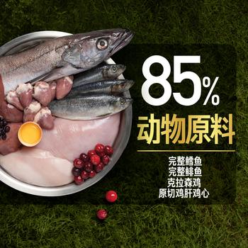 Orijen渴望猫粮 成猫幼猫粮 全价通用无谷原味鸡肉进口5.4kg效期26/10 商品图1