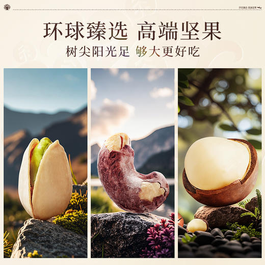 臻味-1.97kg环球茗果礼盒.WN 商品图2