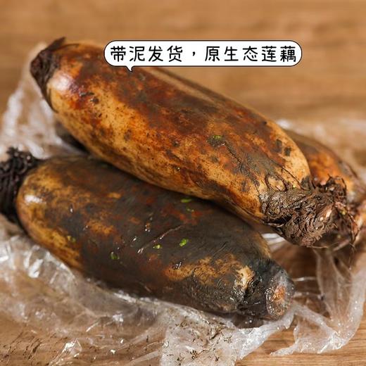洪湖莲藕 商品图4