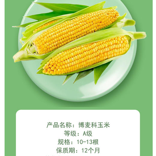非转基因【零农残鲜食甜糯/香糯玉米】源自东北黑土地 鲜食玉米之乡·真空独立包装·1小时极速锁鲜·口感香甜软糯·每一口都饱含着浓郁的玉米清香 商品图3