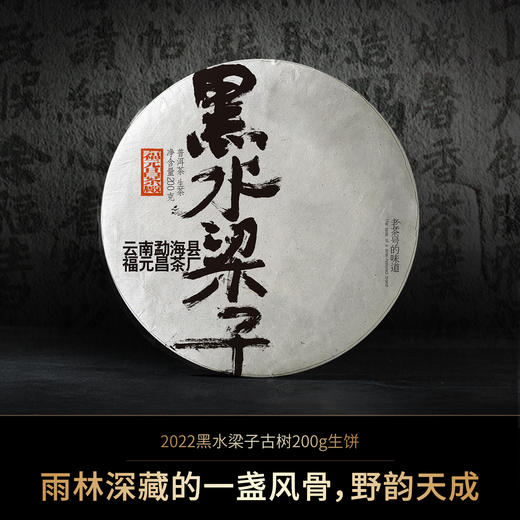 2022年易武黑水梁子头春古树200g生饼 商品图0