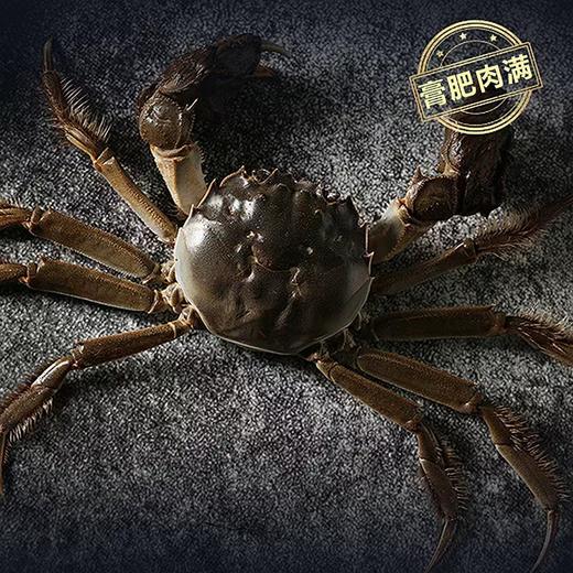 【旗舰店6折】贝师傅阳澄湖大闸蟹礼券 礼卡 赠送食蟹套装 螃蟹礼盒 礼品卡送礼提货券，9月下旬-12月1日 阳澄湖开湖后可兑换 商品图6