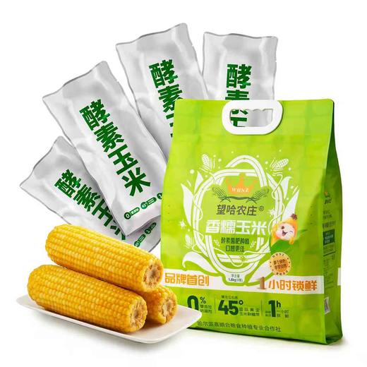 非转基因【零农残鲜食甜糯/香糯玉米】源自东北黑土地 鲜食玉米之乡·真空独立包装·1小时极速锁鲜·口感香甜软糯·每一口都饱含着浓郁的玉米清香 商品图5