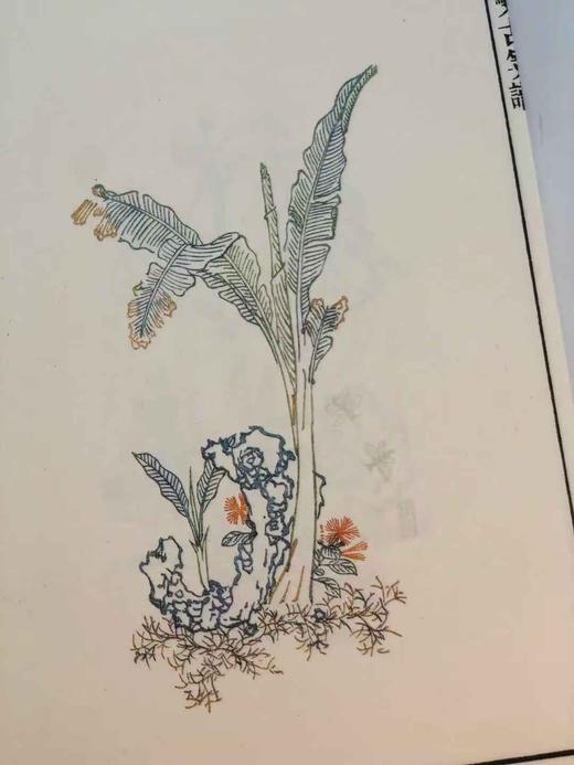 超值特惠！！《十竹斋笺谱》，胡正言编著，线装四册一函，尺寸：32*21.5*4.6cm，磁青纸封面，白棉纸内页，四眼装订，绫子包角，蓝布函套，西冷印社出版社2017年一版一印。

《萝轩变古笺谱》 商品图12