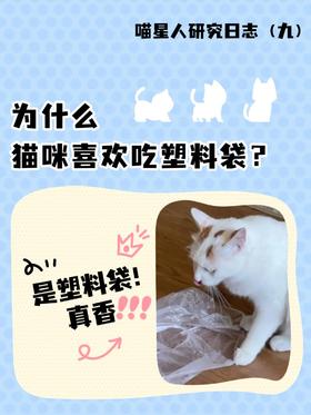 为什么猫咪喜欢吃塑料袋❓