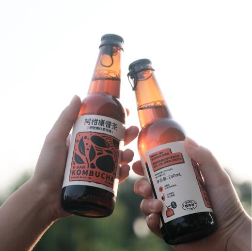 耙耙柑红茶康普茶  230ml*6瓶装 商品图1