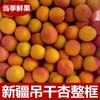 新疆吊干杏 商品缩略图0