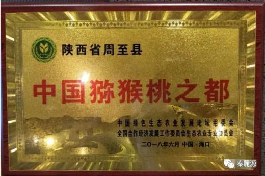 猕猴桃之都--陕西周至【25年头茬-特甜翠香猕猴桃】公认的“VC冠中之冠” ❗️产于天然氧吧 | 种植15年以上周至农户直供🛫不是所有翠香都叫特甜翠香 商品图4