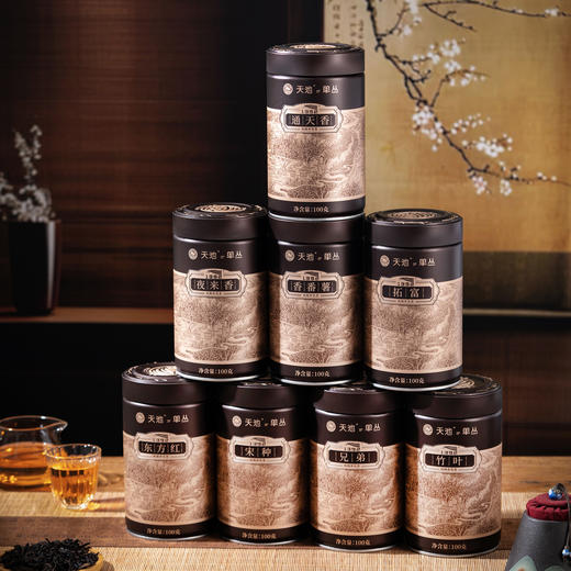 天池 凤凰单丛 八大名枞 宋种 东方红 通天香 夜来香 拓富 罐装 100g 商品图6