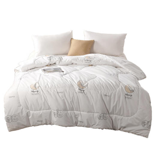 洁玉 澳洲羊毛被200*230cm 颜色随机 商品图4