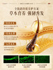 儒意生姜侧柏叶洗发皂 新疆乌斯曼草何首乌中药固发防断发控油120g+送起泡网 商品缩略图3