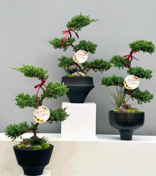 步步高升五层松塔 商品图0