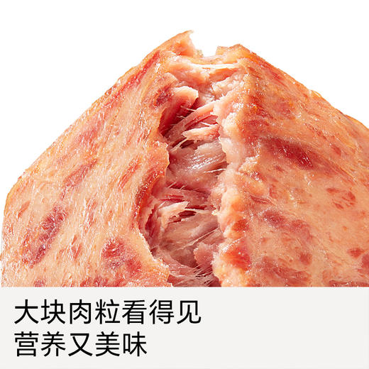 【不二宝贝】儿童黑猪午餐肉 商品图3